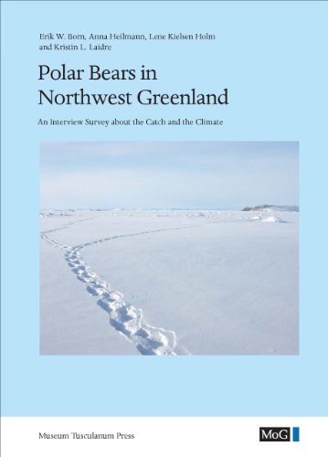 Stock image for Polar Bears in Northwest Greenland   An Interview Survey about the Catch and the Climate for sale by Revaluation Books