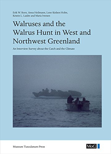 Stock image for Walruses and the Walrus Hunt in West and Northwest Greenland Format: Hardcover for sale by INDOO