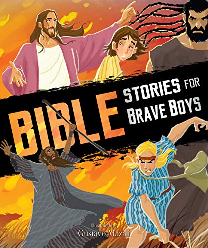 Beispielbild fr Bible Stories for Brave Boys (Children's Bibles) zum Verkauf von WorldofBooks