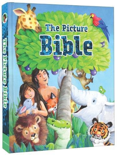 Beispielbild fr Picture Bible zum Verkauf von AwesomeBooks