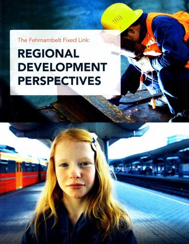 Stock image for The Fehmarnbelt Fixed Link: Regional Development Perspectives for sale by ThriftBooks-Atlanta