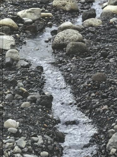 Imagen de archivo de Olafur Eliasson: Riverbed a la venta por Midtown Scholar Bookstore