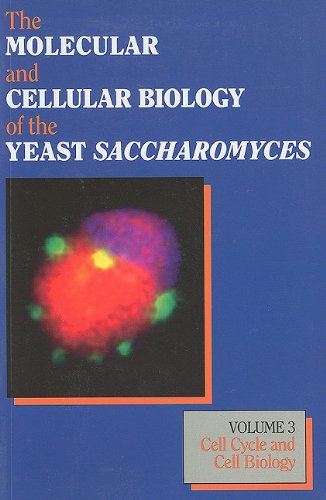 Stock image for The Molecular and Cellular Biology of the Yeast Saccharomyces, Volume 3: Cell Cycle and Cell Biology (Cold Spring Harbor Monograph) for sale by Discover Books