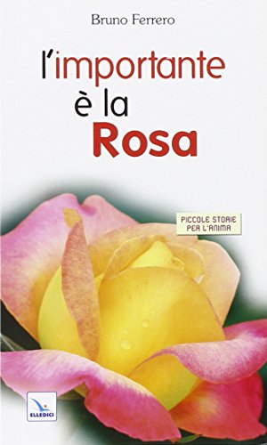 Stock image for L'importante  la rosa for sale by medimops
