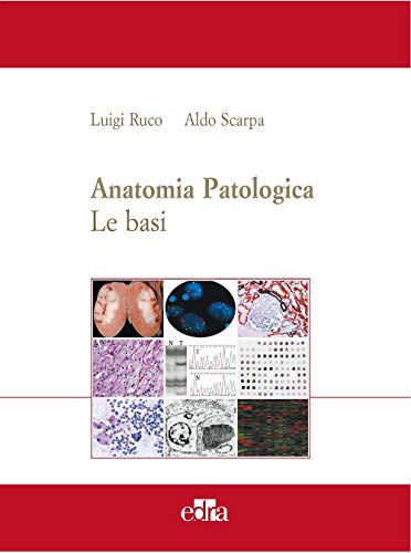 Imagen de archivo de Anatomia patologica. Le basi vol. 1 (ita) a la venta por Brook Bookstore