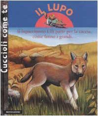 Beispielbild fr Il lupo (Cuccioli come te) zum Verkauf von medimops