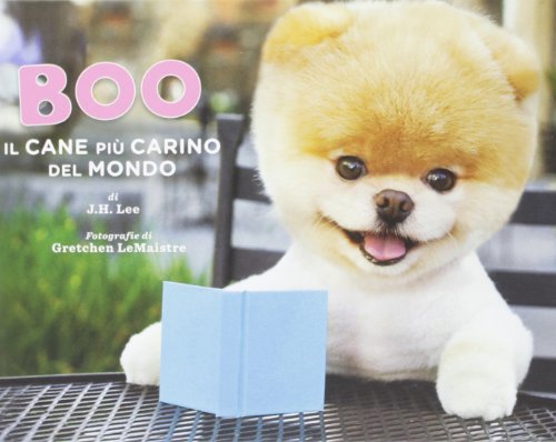 Stock image for Boo. Il cane pi carino del mondo for sale by medimops