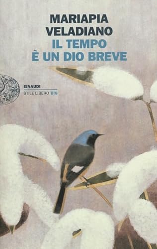 Stock image for Il tempo  un dio breve for sale by medimops