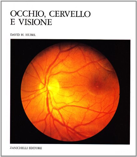 9788808150561: Occhio, cervello, visione