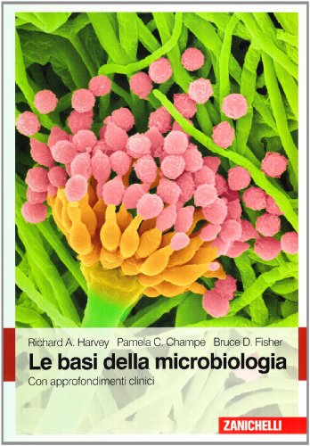 Stock image for Le Basi Della Microbiologia for sale by libreriauniversitaria.it