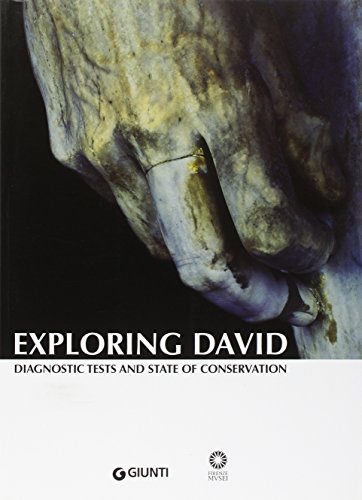 9788809033252: Exploring David. Diagnostic tests and state of conservation