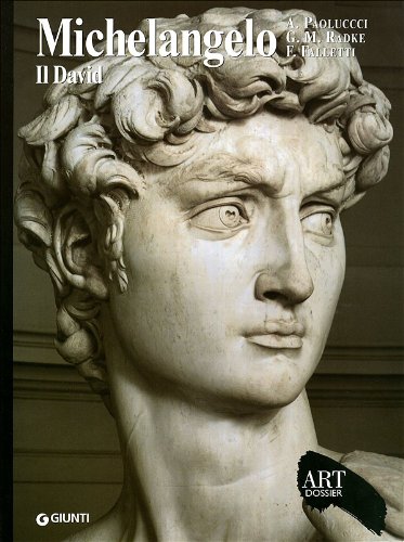 Stock image for Michelangelo. Il David for sale by HPB-Emerald