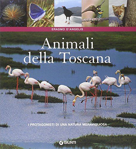 Beispielbild fr Animali della Toscana. zum Verkauf von FIRENZELIBRI SRL