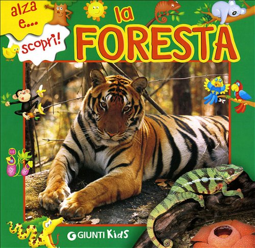 9788809063006: La foresta. Ediz. illustrata (Alza e scopri)