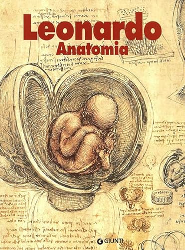 Stock image for Leonardo. Anatomia (Monografie d'arte) for sale by medimops