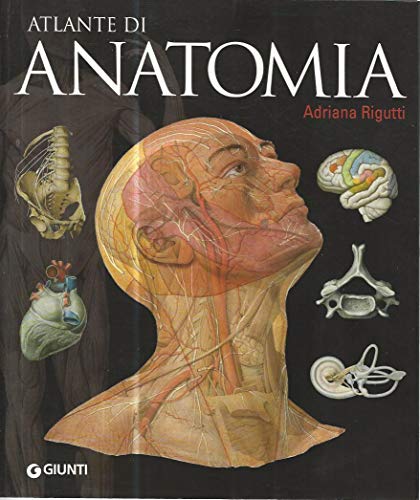 Imagen de archivo de Atlante di anatomia a la venta por WorldofBooks