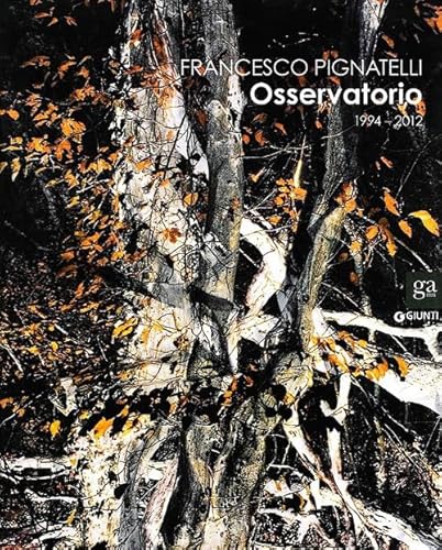 Stock image for Francesco Pignatelli Osservatorio 1994-2012 (Hardcover) for sale by Saint Georges English Bookshop