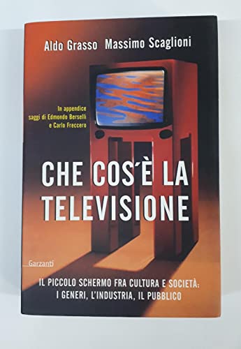 9788811740322: Che cos' la televisione. Il piccolo schermo fra cultura e societ: i generi, l'industria, il pubblico (Saggi)