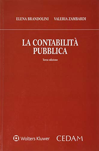 Beispielbild fr CONTABILITA PUBBLICA 3ED. zum Verkauf von medimops