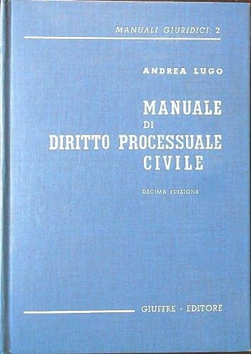 9788814032080: Manuale di diritto processuale civile