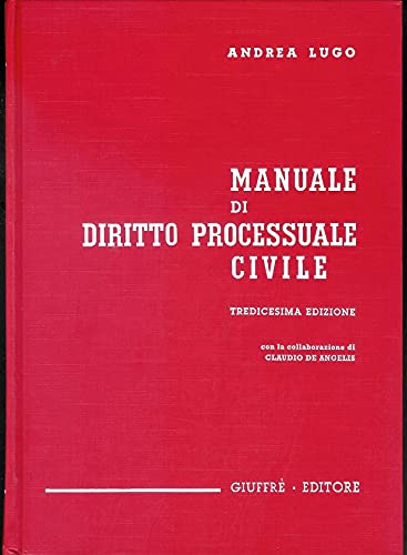 9788814077128: Manuale di diritto processuale civile