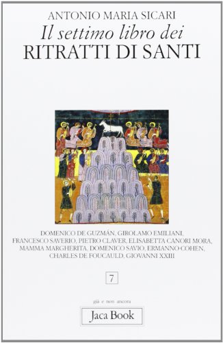 Stock image for Il settimo libro dei ritratti di santi (Gi e non ancora) for sale by medimops