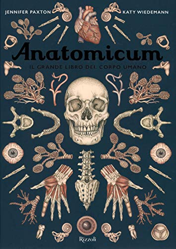 9788817143240: Anatomicum. Il grande libro del corpo umano. Ediz. a colori