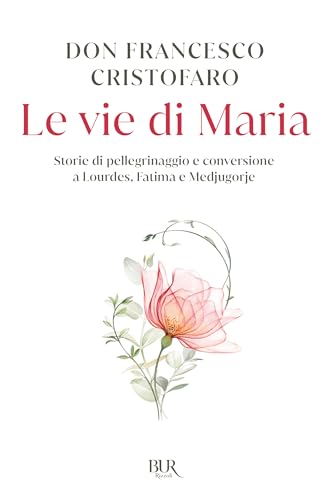 Stock image for Le vie di Maria. Storie di pellegrinaggi e conversioni a Lourdes, Medjugorje e Fatima for sale by medimops