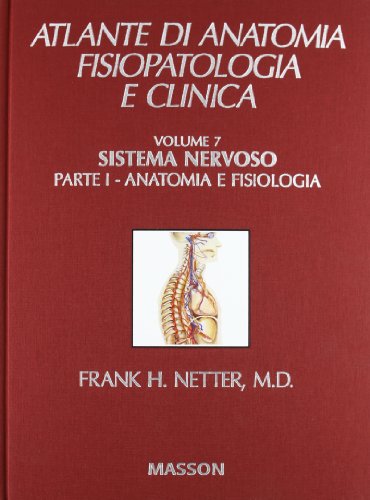 Sistema nervoso vol. 1 - Anatomia e fisiologia (9788821426612) by Netter Frank H.