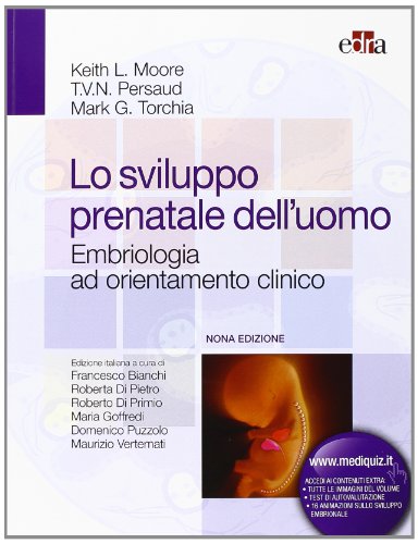 Stock image for Lo sviluppo prenatale dell'uomo. Embriologia ad orientamento clinico for sale by medimops