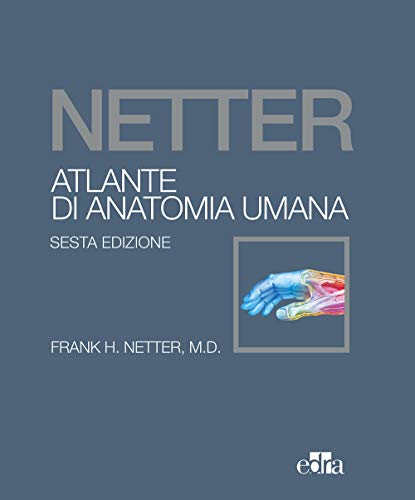 Beispielbild fr Netter. Atlante di anatomia umana zum Verkauf von medimops