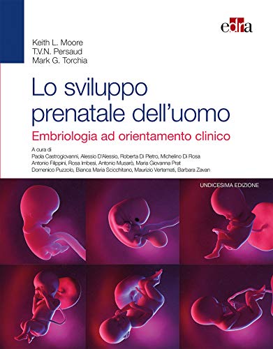 Stock image for SVILUPPO PRENATALE DELL'UOMO 11E for sale by libreriauniversitaria.it