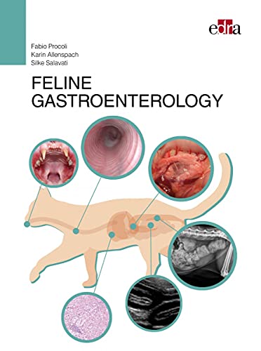 Stock image for Feline Gastroentology for sale by HPB-Red