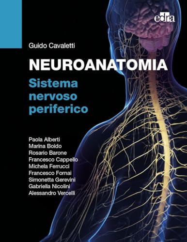 Beispielbild fr Neuroanatomia. Sistema nervoso periferico zum Verkauf von medimops