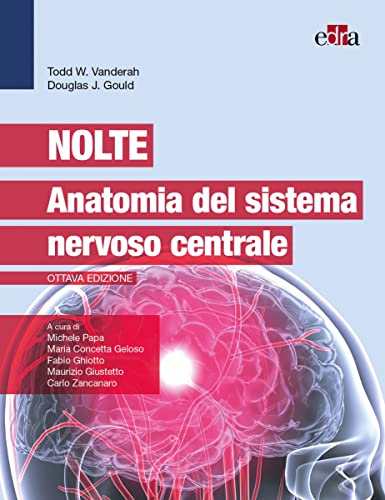 9788821454523: Nolte. Anatomia del sistema nervoso centrale