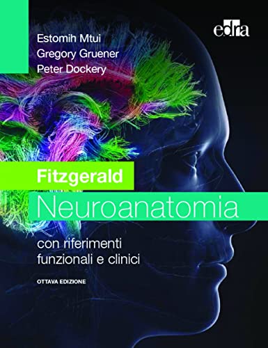 Beispielbild fr Fitzgerald. Neuroanatomia con riferimenti funzionali e clinici zum Verkauf von medimops