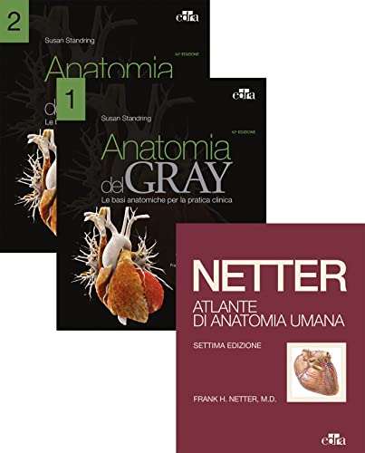 Beispielbild fr Netter Gray. L'anatomia: Anatomia del Gray-Atlante di anatomia umana di Netter zum Verkauf von libreriauniversitaria.it