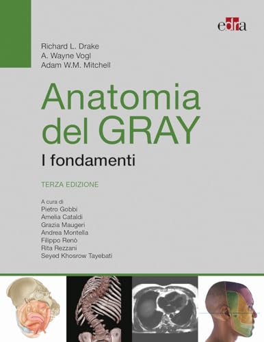 Beispielbild fr Anatomia del Gray. I fondamenti zum Verkauf von libreriauniversitaria.it