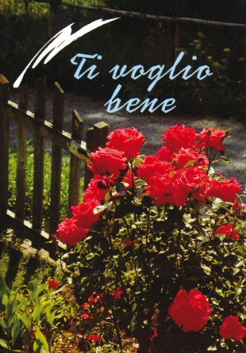 Stock image for Ti voglio bene (Amico) for sale by medimops