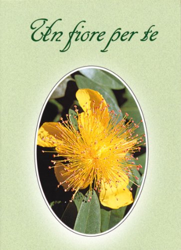 Stock image for Un fiore per te (Amico) for sale by medimops