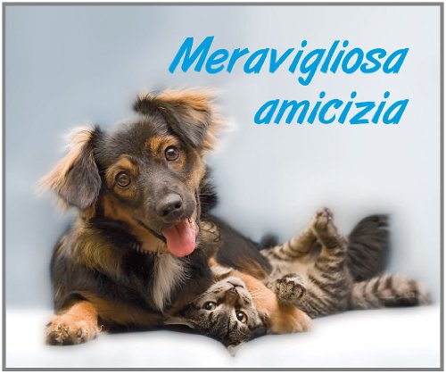 9788821579059: Meravigliosa amicizia