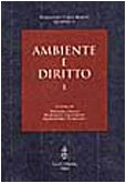 9788822247247: AMBIENTE E DIRITTO