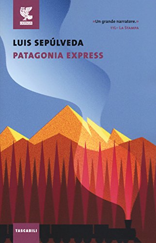 Stock image for Patagonia express for sale by Revaluation Books