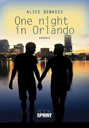 Beispielbild fr One night in Orlando zum Verkauf von medimops