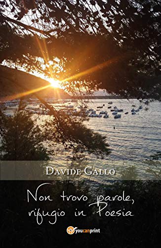 Stock image for Non trovo parole, rifugio in Poesia (Italian Edition) [Soft Cover ] for sale by booksXpress