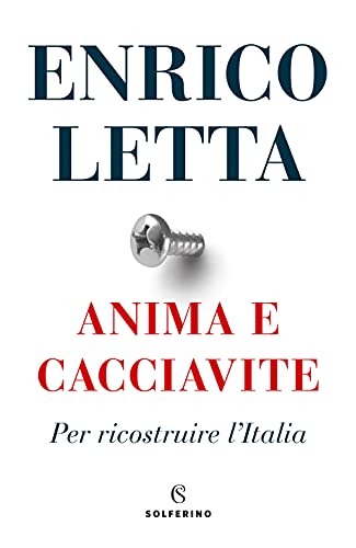 Stock image for Anima e cacciavite. Per ricostruire l'Italia for sale by medimops