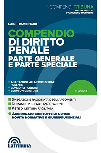 9788829102969: Compendio di diritto penale. Parte generale e parte speciale