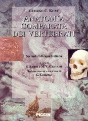 Stock image for Anatomia Comparata Dei Vertebrati for sale by medimops