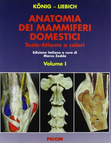 Stock image for Anatomia dei mammiferi domestici (Volume I + Volume II) [Copertina rigida] atlante anatomico studio dell'anatomia degli animali domestici Veterinaria Horst E. Knig Hans-Georg Liebich Marco Zedda Veterinary Anatomy of Domestic Mammals Textbook and Colour Atlas [ Italian Edition - Edizione italiana ] Prof. Dr. Horst Erich Knig vet Prof. Dr. Hans-Georg Liebich veterinary practices topographic view locomotor apparatus, organ's systems, circulatory and nervous systems, sensory organs, skin and its organs veterinary clinic practice anatomical structures anatomy of mammals Foreword by Gh.M. Constantinescu Anatomie Veterinrmedizin Haustiere Veterinrmedizin Sugetiere Veterinrmedizin Tierrmedizin Tierheilkunde ISBN-10 3-7945-2101-3 / 3794521013 ISBN-13 978-3-7945-2101-2 / 9783794521012 Veterinary Anatomy of Domestic Mammals Textbook and Colour Atlas Prof. Dr. Horst Erich Knig vet Prof. Dr. Hans-Georg Liebich for sale by BUCHSERVICE / ANTIQUARIAT Lars Lutzer