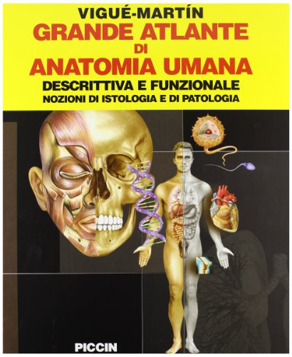 Stock image for Grande Atlante di Anatomia Umana for sale by ThriftBooks-Atlanta